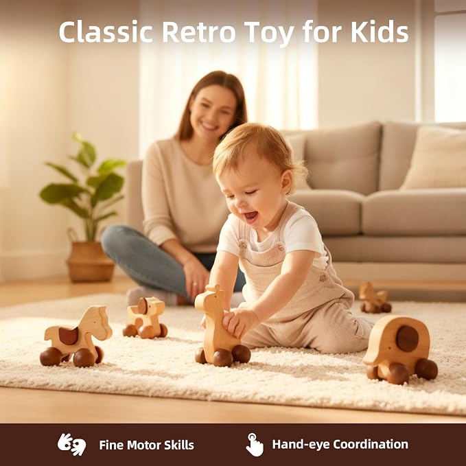 Baby Push Car Montessori Toys