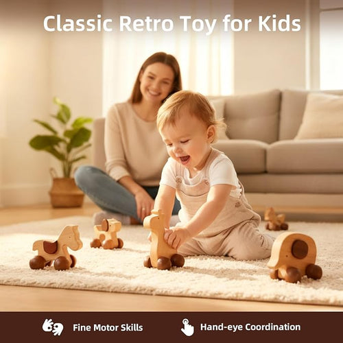 Baby Push Car Montessori Toys