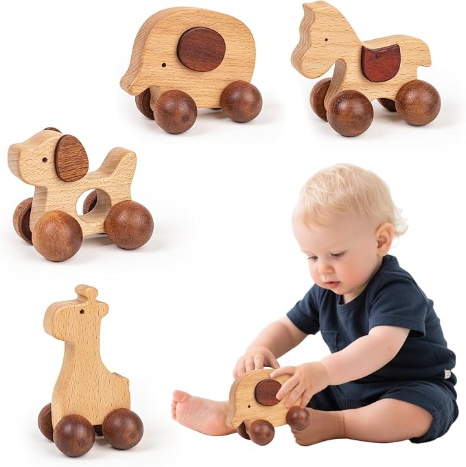 Baby Push Car Montessori Toys